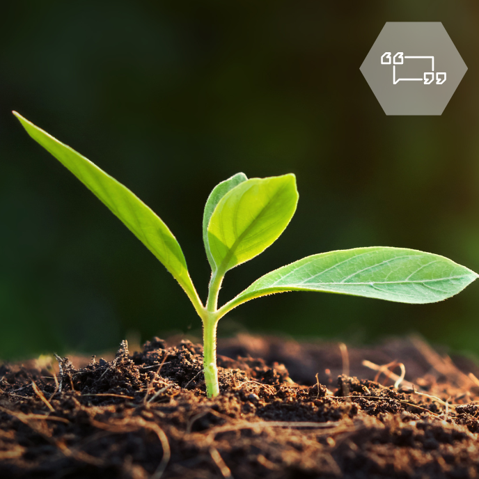 [Translate to English:] 